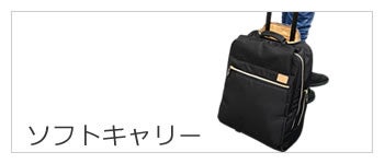 ソフトキャリーケース