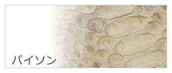 財布 小物 レディース パイソン