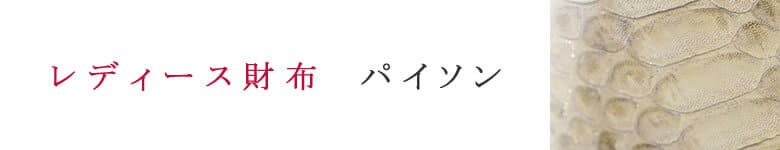 財布 小物 レディース パイソン
