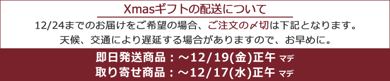クリスマスギフト2025 喜ばれるクリスマスプレゼント女性 彼女 男性 彼氏 人気 旦那 妻 おしゃれ カップル ペア 高齢 者 20代 30代 社会人 大学生 ブランド 手軽 予算 旦那さん 喜ぶ ギフト 贈り物 予算 使えるクリスマスプレゼント