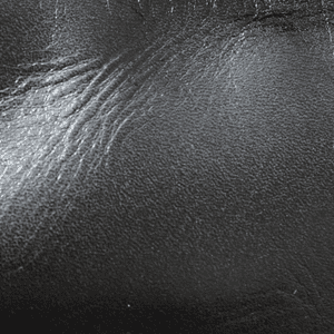 パラフィン加工