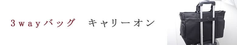 3wayバッグ リュック キャリーオン